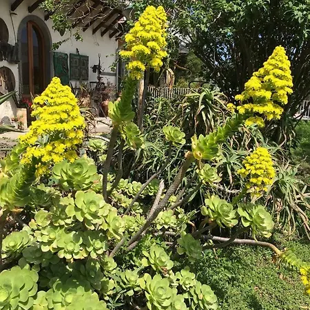 La Finestra Sull'etna Guest house